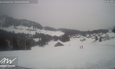 Amden webcam