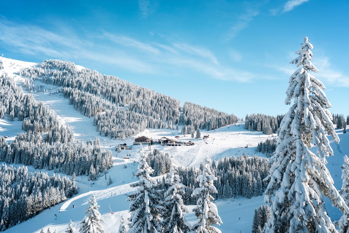 Europe Weekly Roundup #302