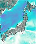 Japan Wind Map
